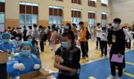 野马直播间爆料最新消息,最新热点事件揭秘