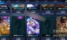 皮肤优化最新爆料王者,揭秘皮肤优化背后的神秘力量